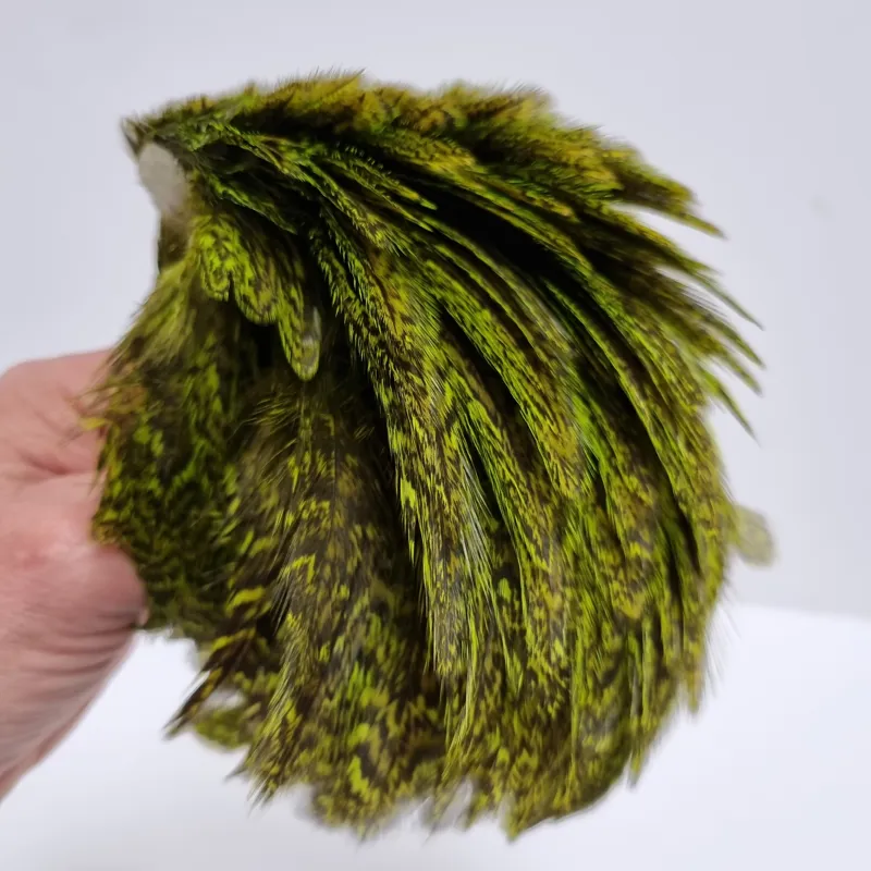 Whiting Coq de Leon Hen Cape in Speckled Fl.Green Chartreuse-7